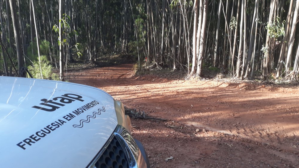ruadaliberdade 19