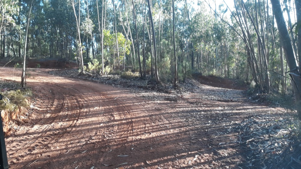 ruadaliberdade 20