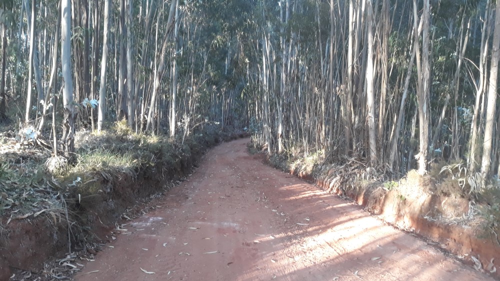 ruadaliberdade 21