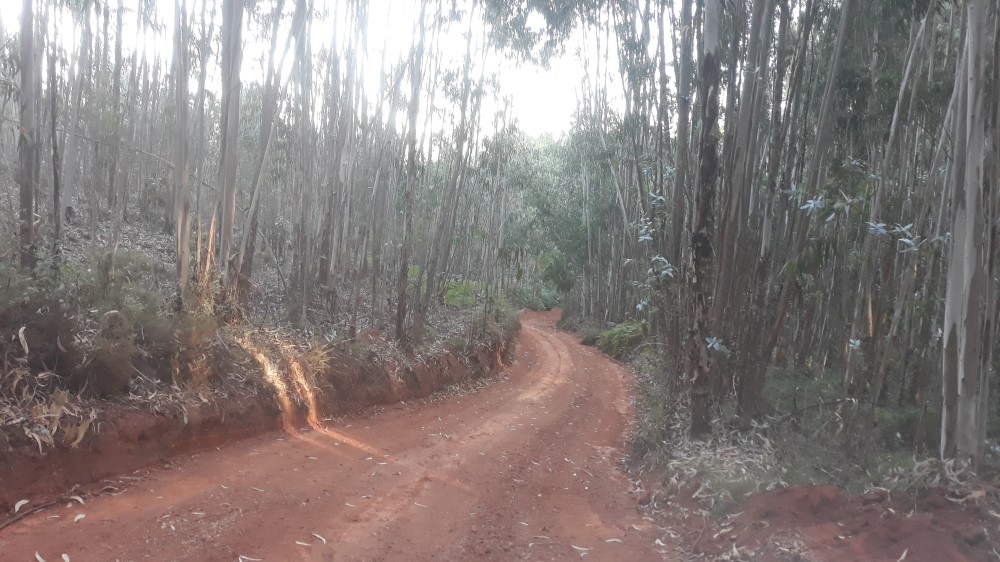 ruadaliberdade 22