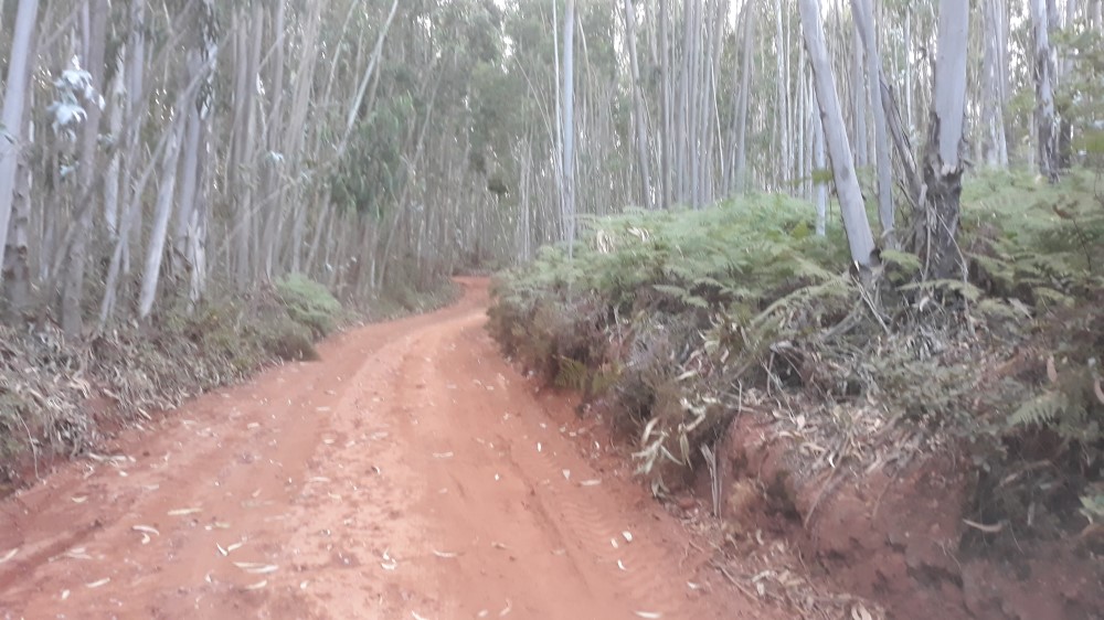 ruadaliberdade 23