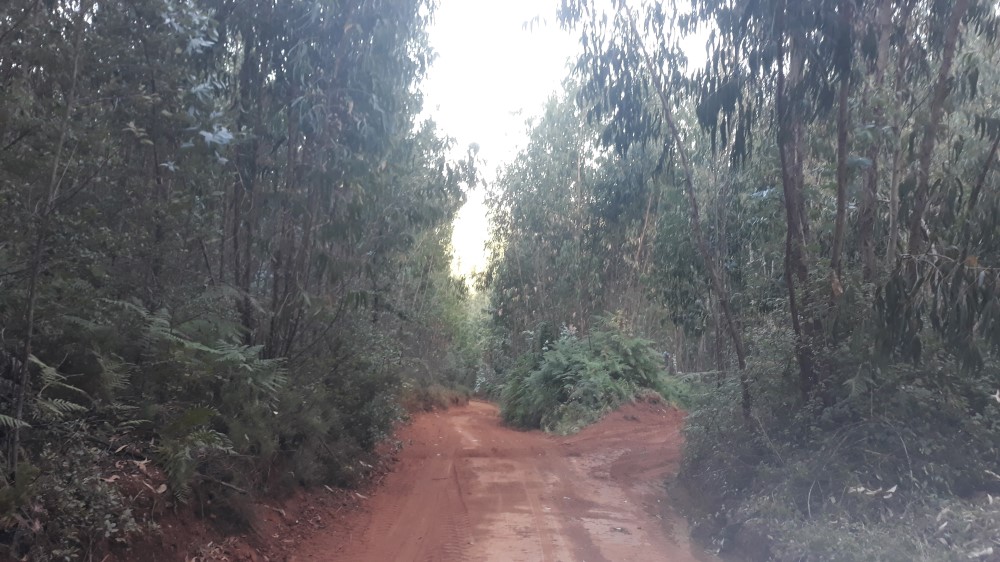 ruadaliberdade 24