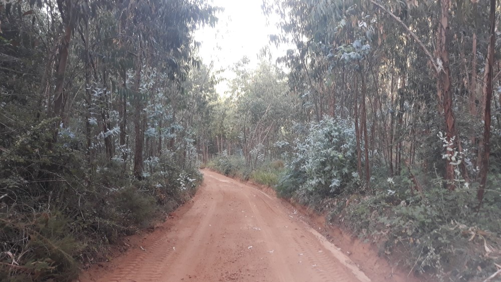 ruadaliberdade 25