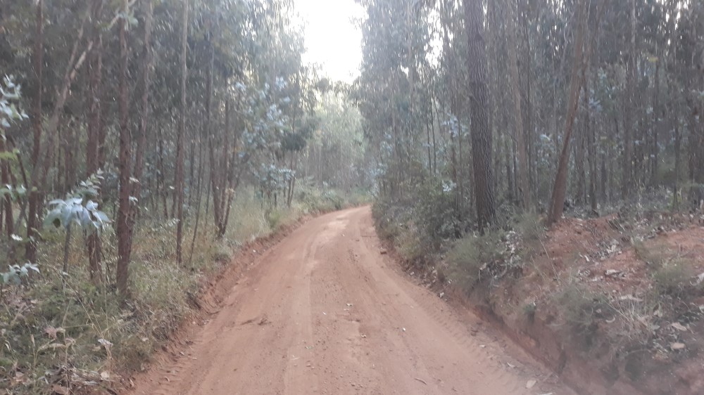 ruadaliberdade 26