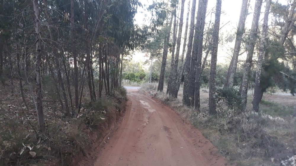 ruadaliberdade 27
