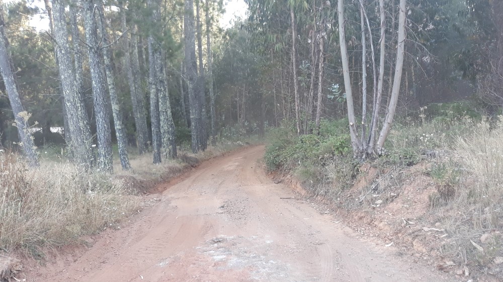 ruadaliberdade 28