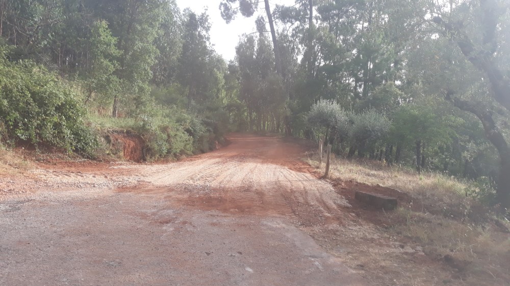 ruadaliberdade 3