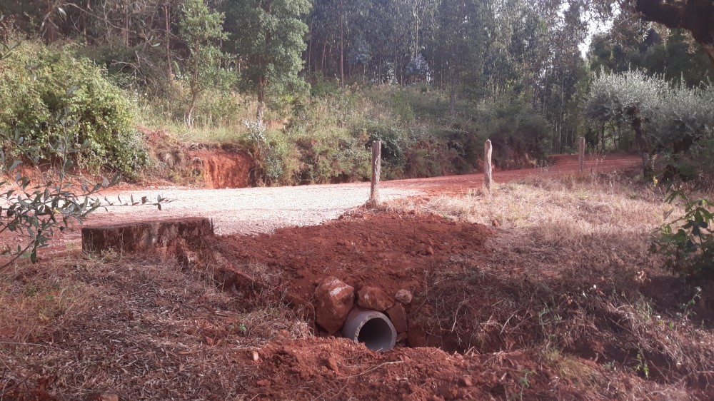 ruadaliberdade 4
