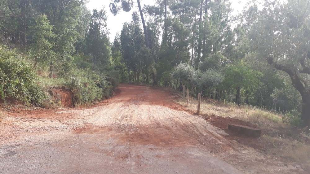 ruadaliberdade 6