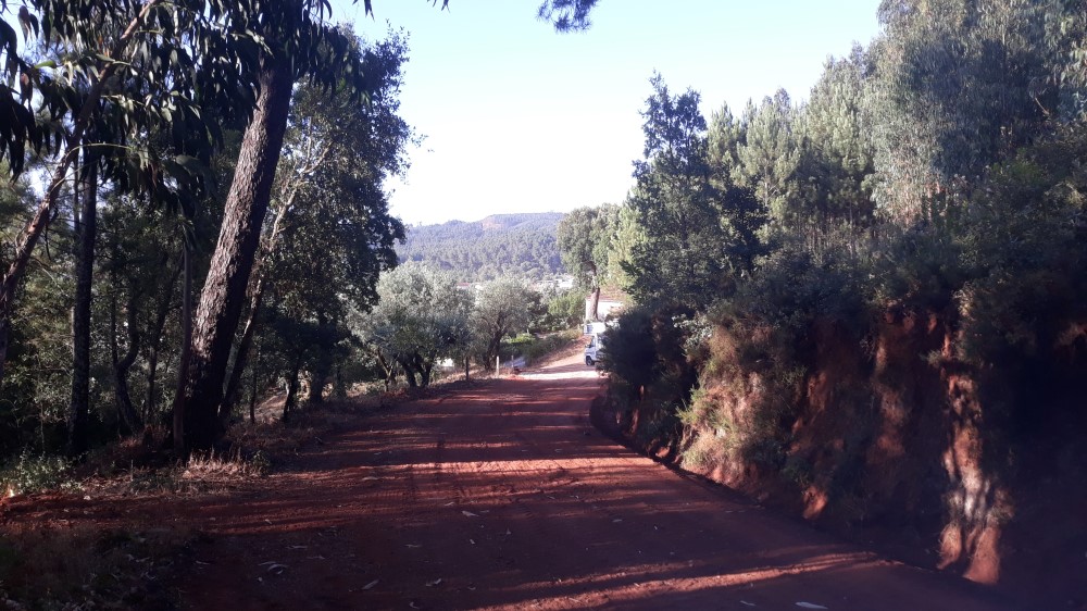 ruadaliberdade 7