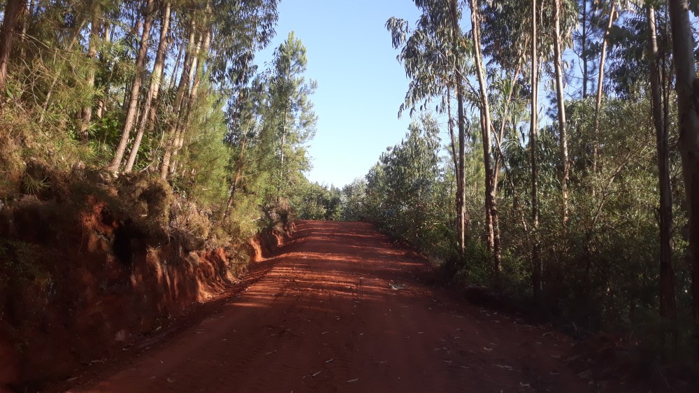 ruadaliberdade 9