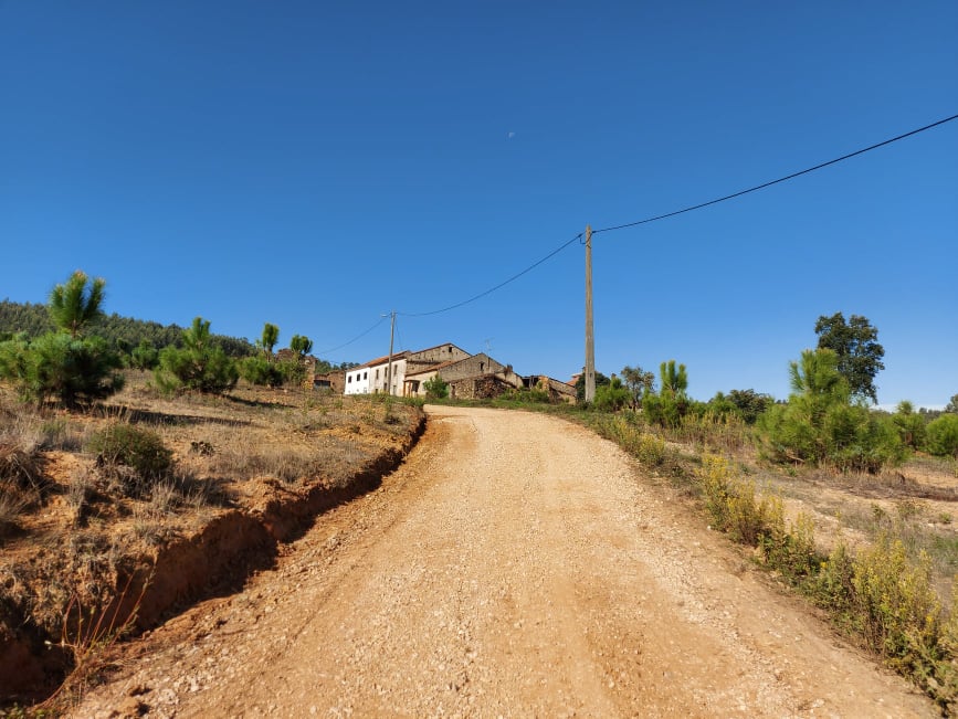 tcastelo 7