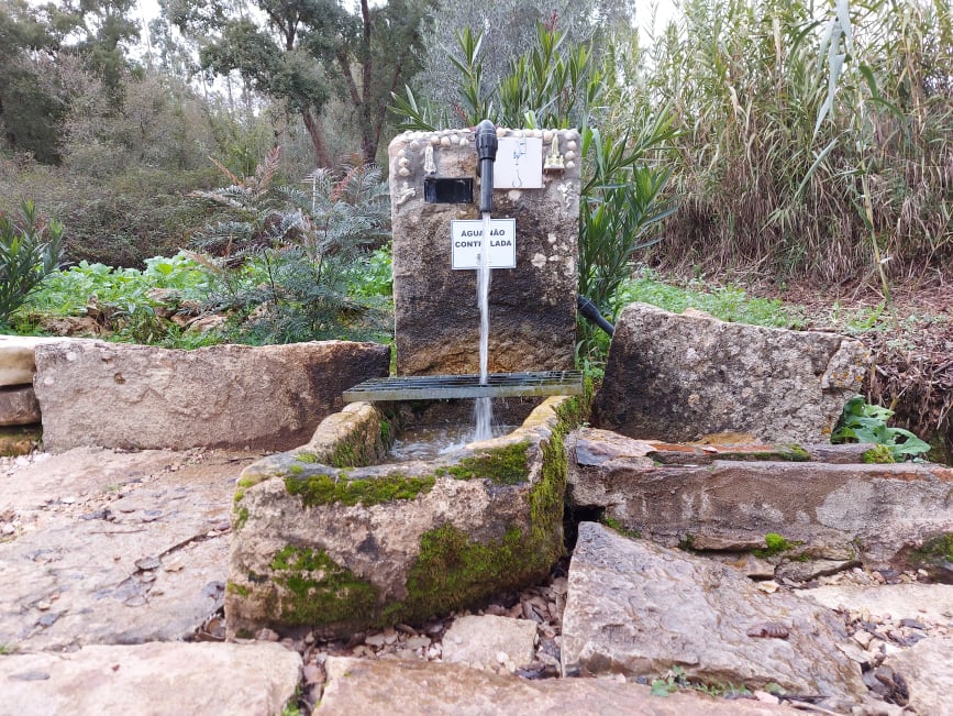 fontebarcaia 10
