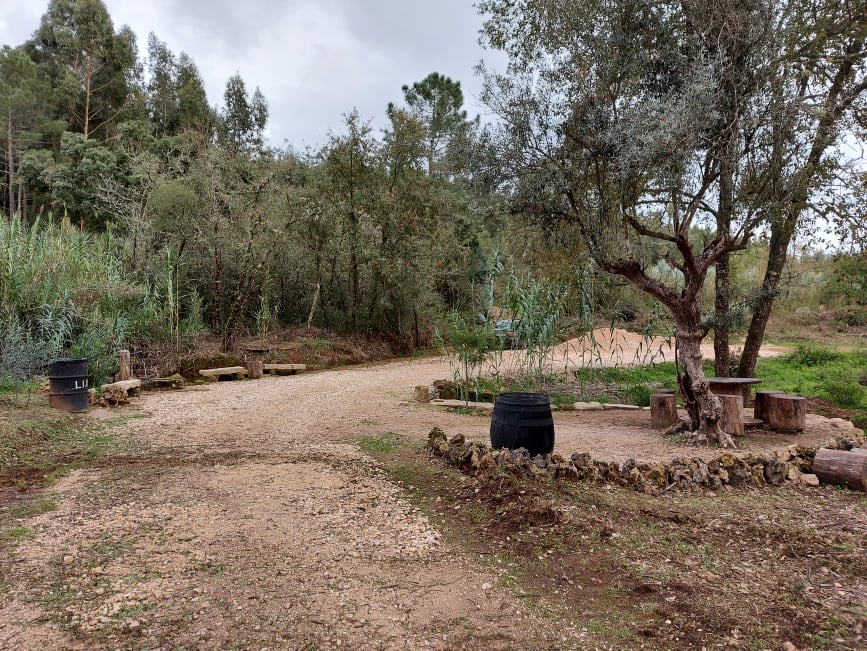 fontebarcaia 11
