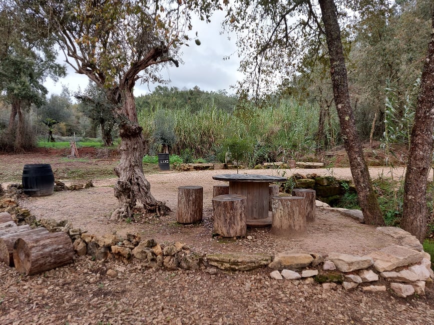 fontebarcaia 12