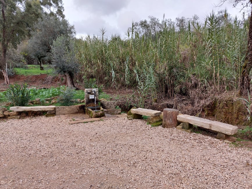 fontebarcaia 13