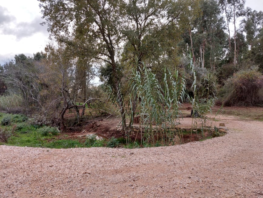 fontebarcaia 15