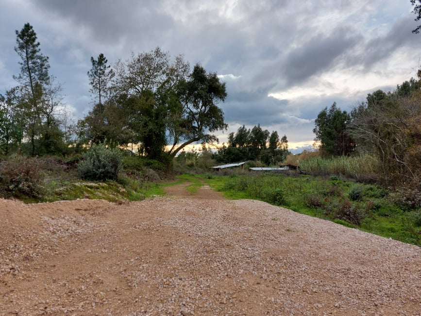 fontebarcaia 16