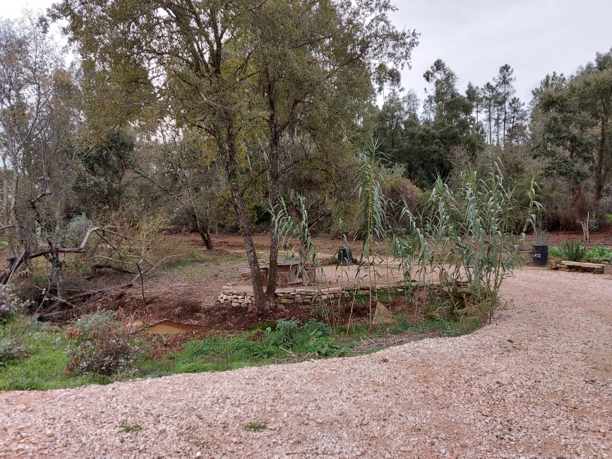 fontebarcaia 20