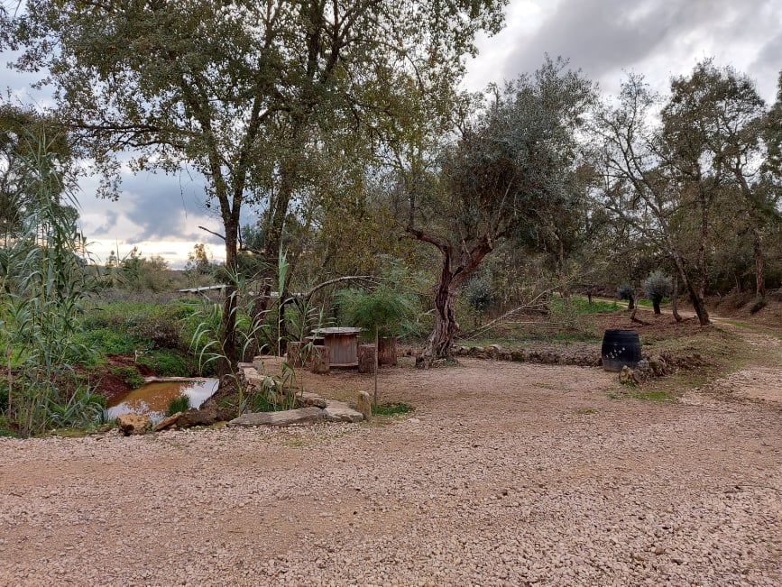 fontebarcaia 23