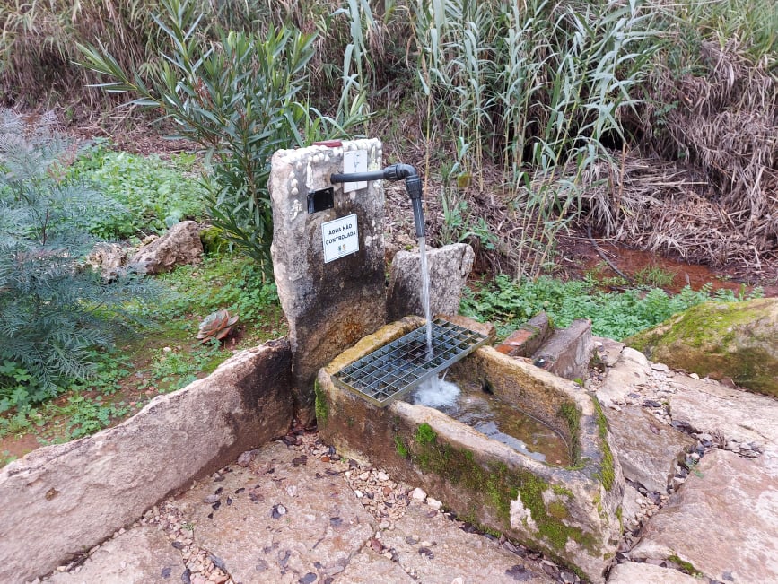 fontebarcaia 24