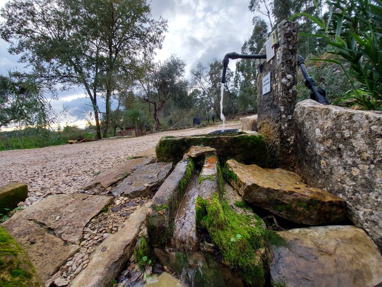 fontebarcaia 29