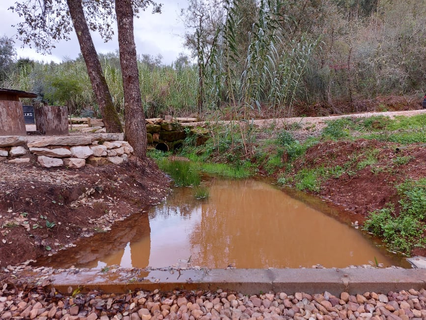 fontebarcaia 5