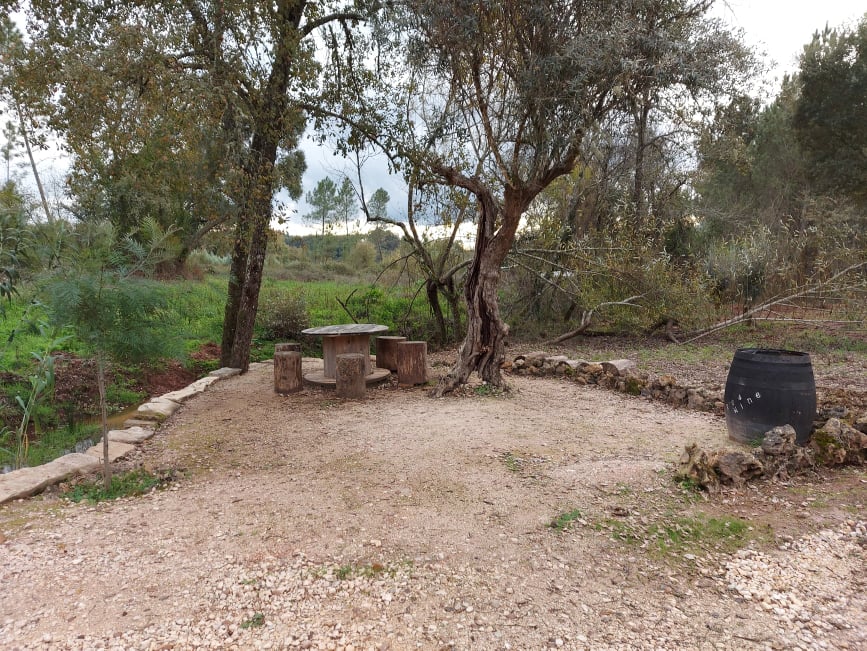 fontebarcaia 6