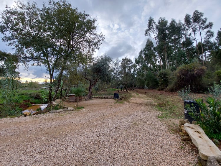 fontebarcaia 9