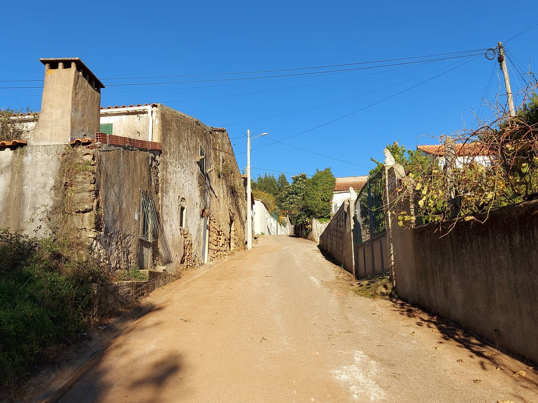 rcsamaro 10