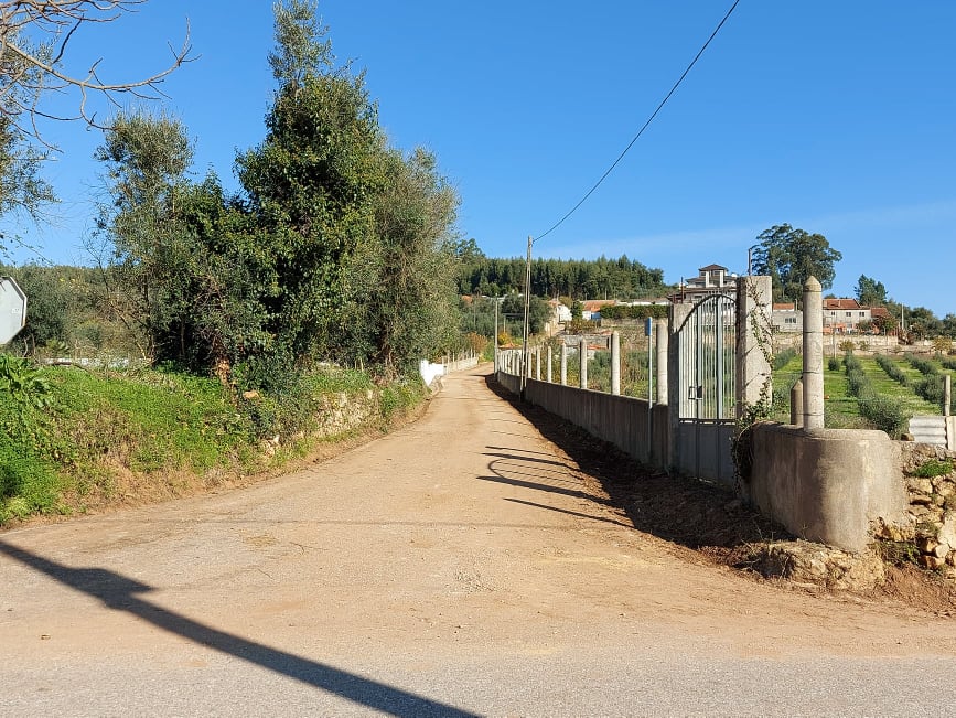 rcsamaro 12