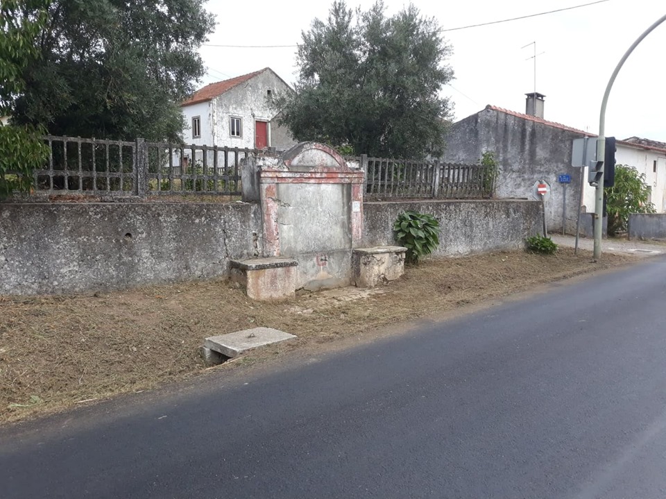 fpereiro 11