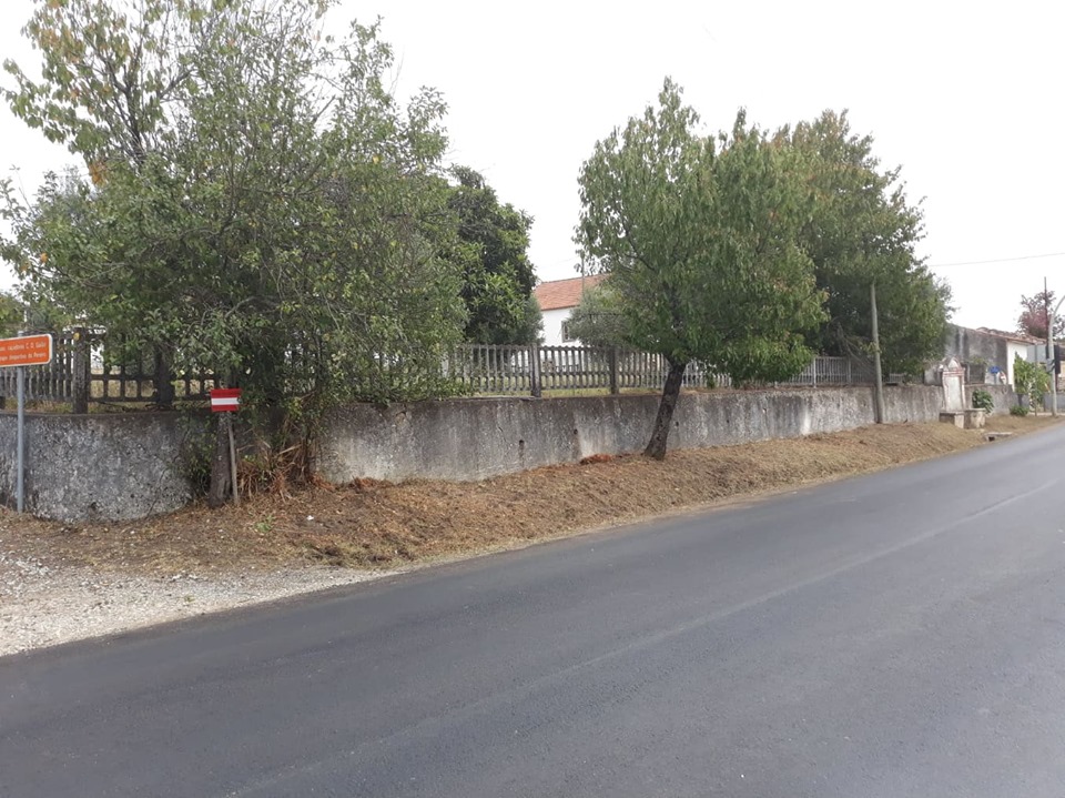fpereiro 15