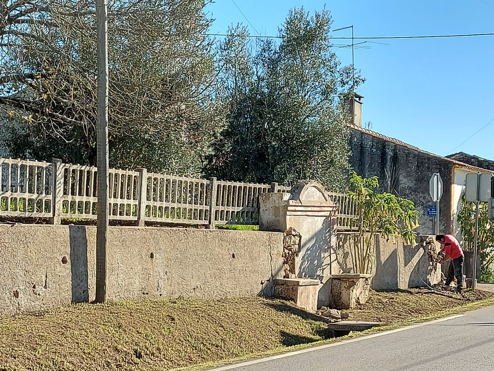 fpereiro 7