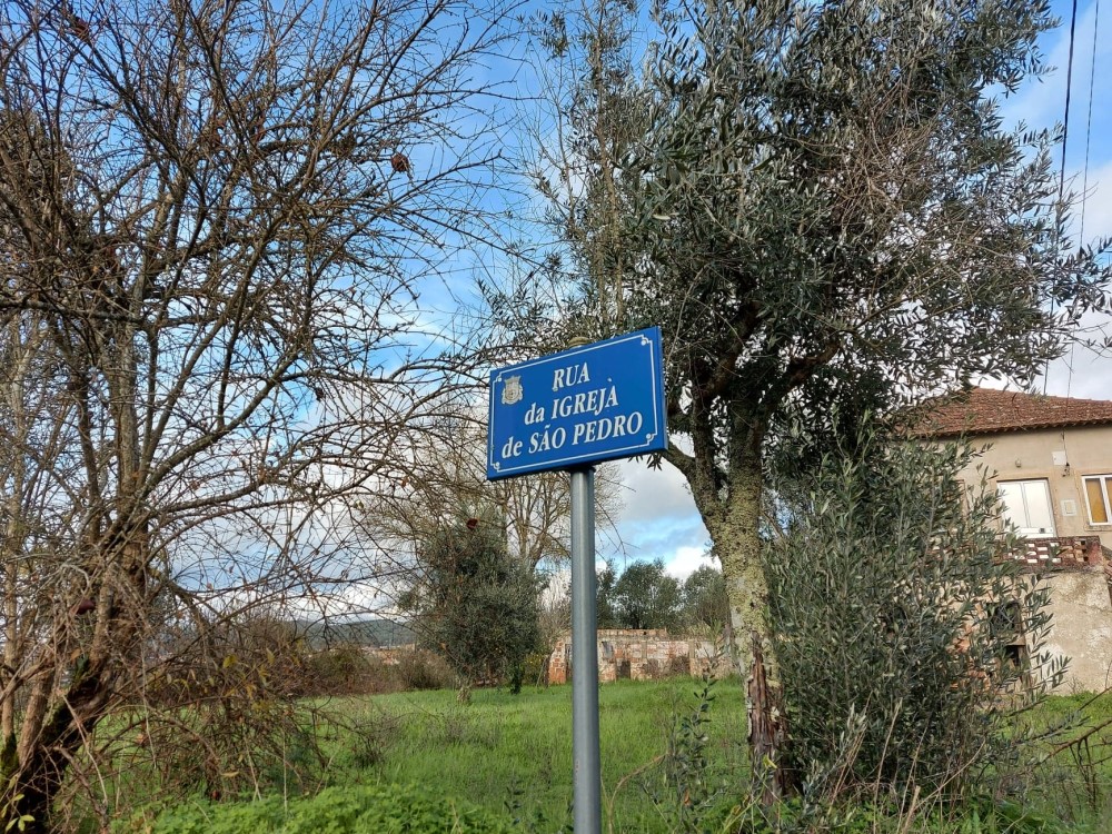 rispedro 1