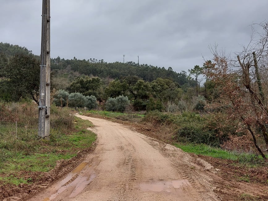 ruadahortanova 7