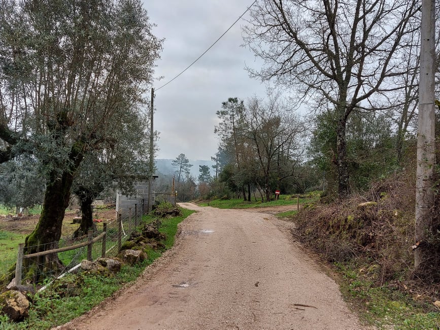 ruadahortanova 8