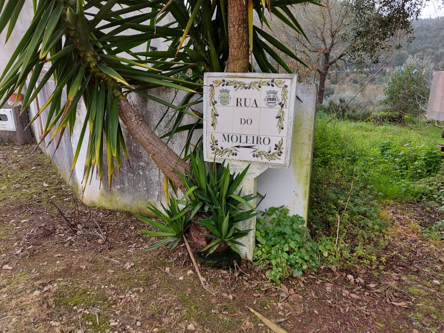 ruadomoleiro 12