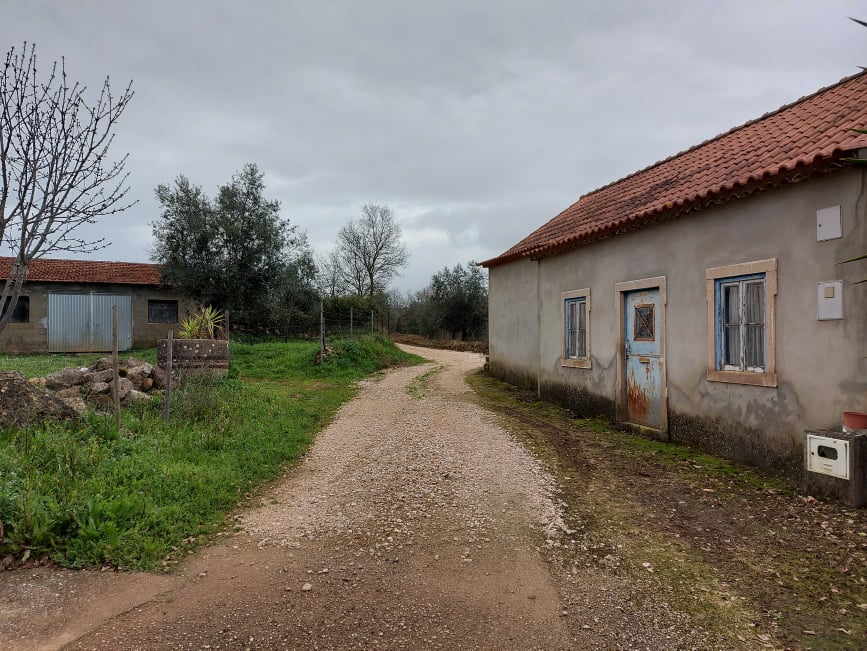 ruadomoleiro 2