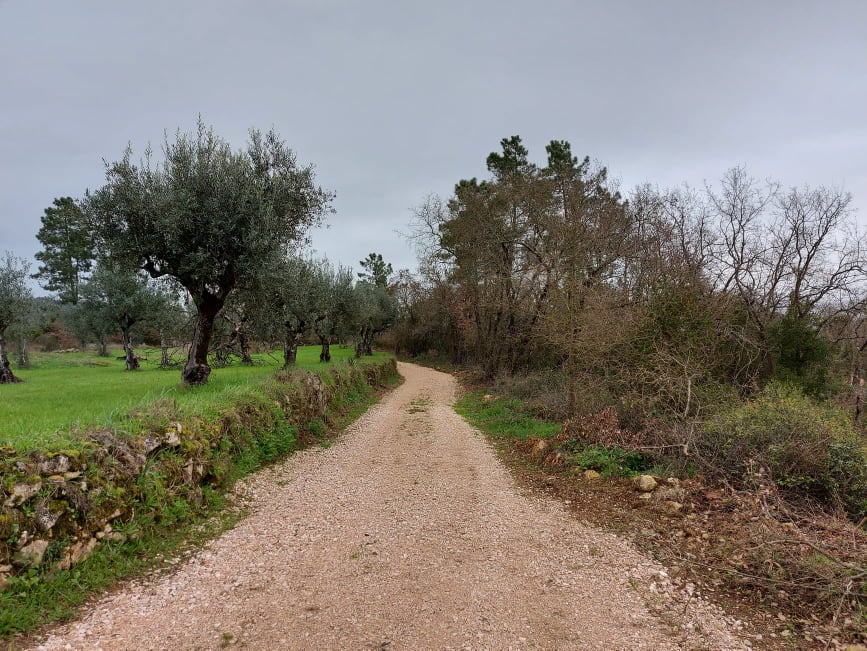 ruadomoleiro 3