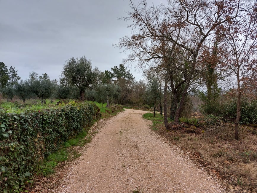 ruadomoleiro 9