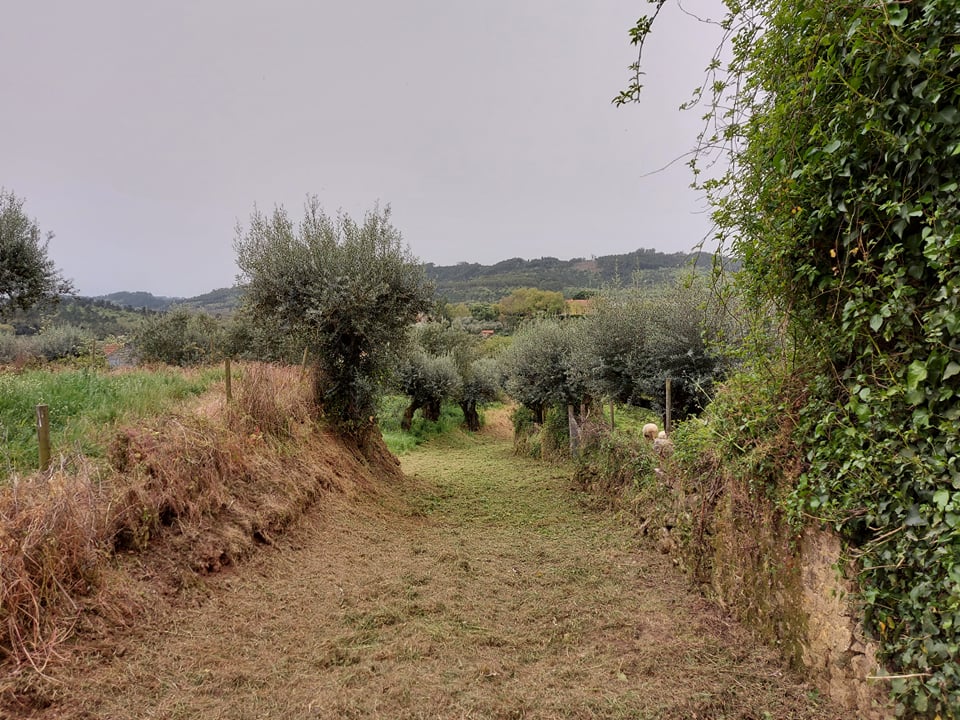 cpelourinho 10