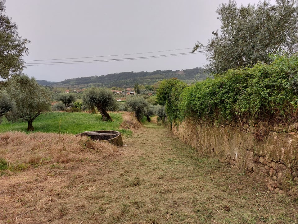 cpelourinho 13