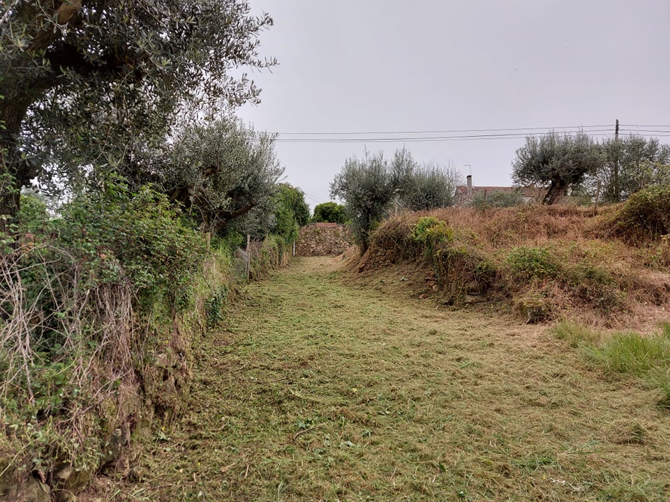 cpelourinho 3