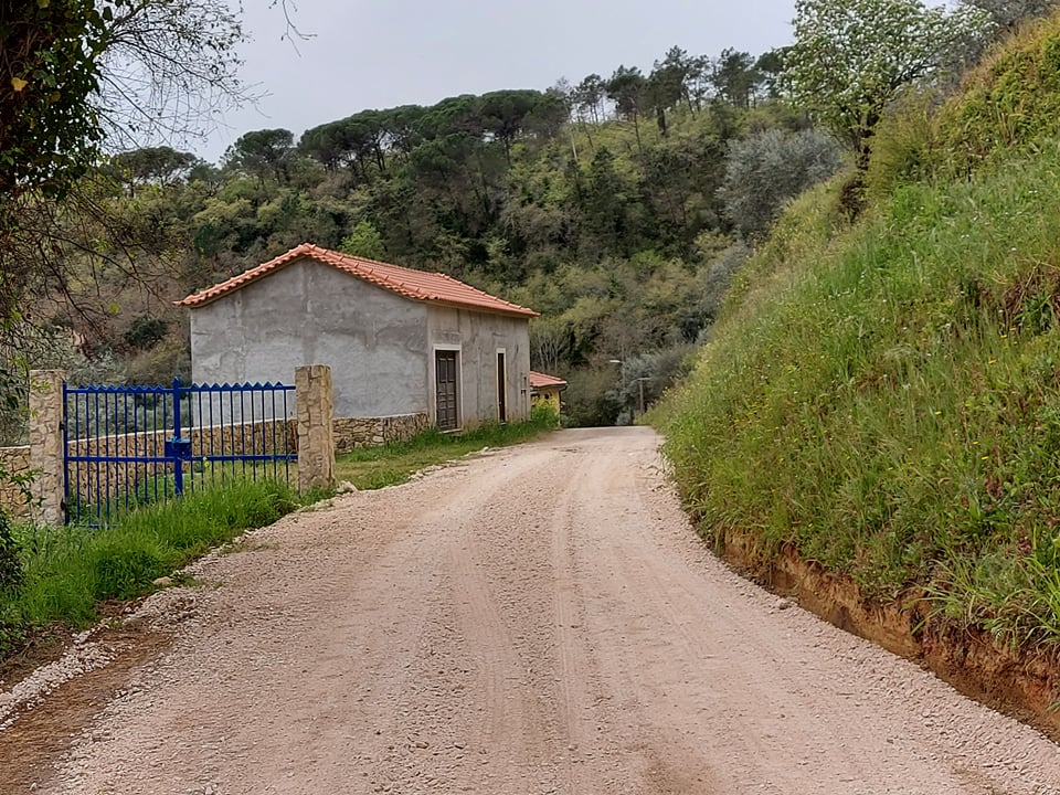 razenhas 6