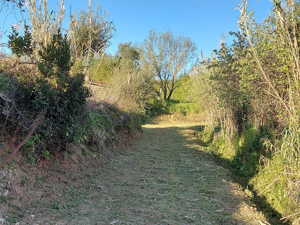 rfpedra 4
