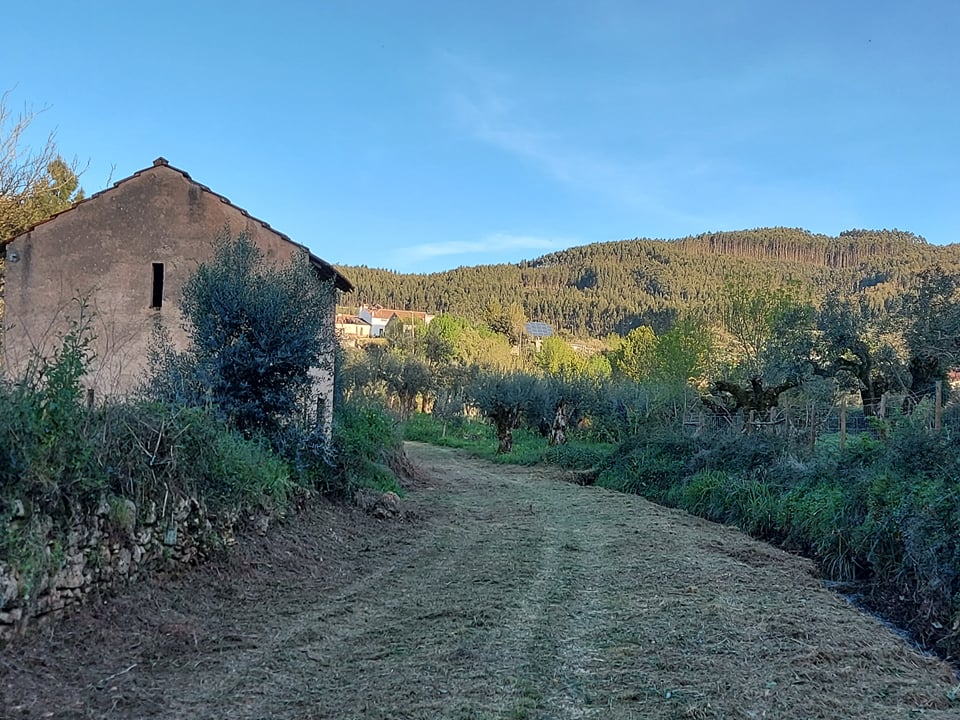 rfpedra 8