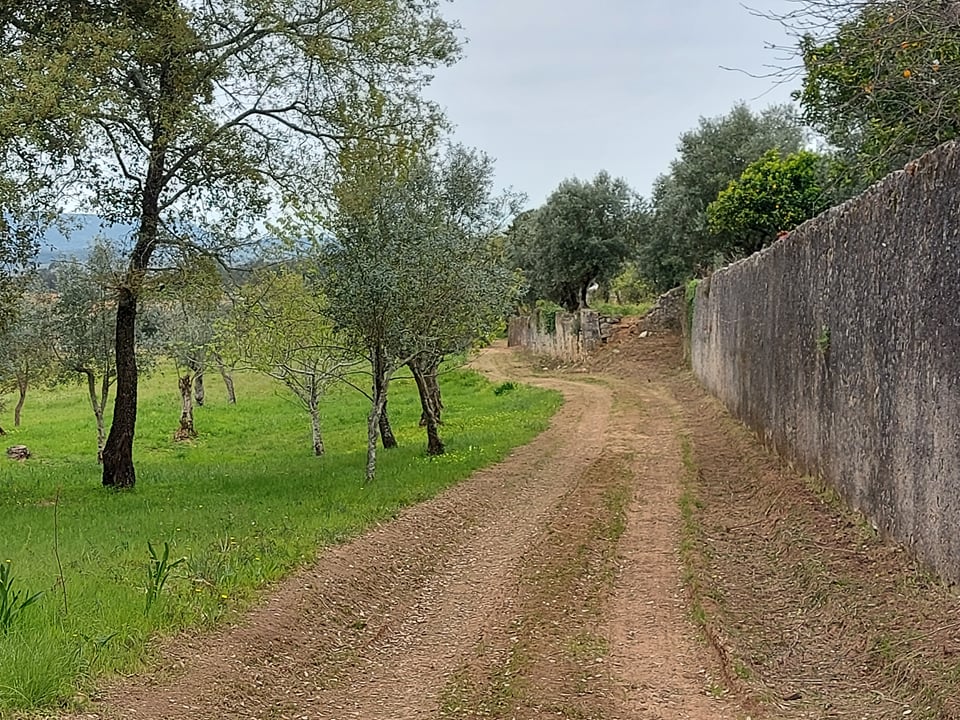 tfonterei 1