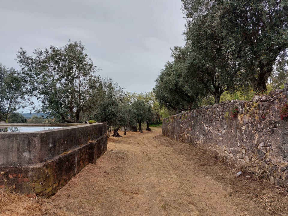 tfonterei 3