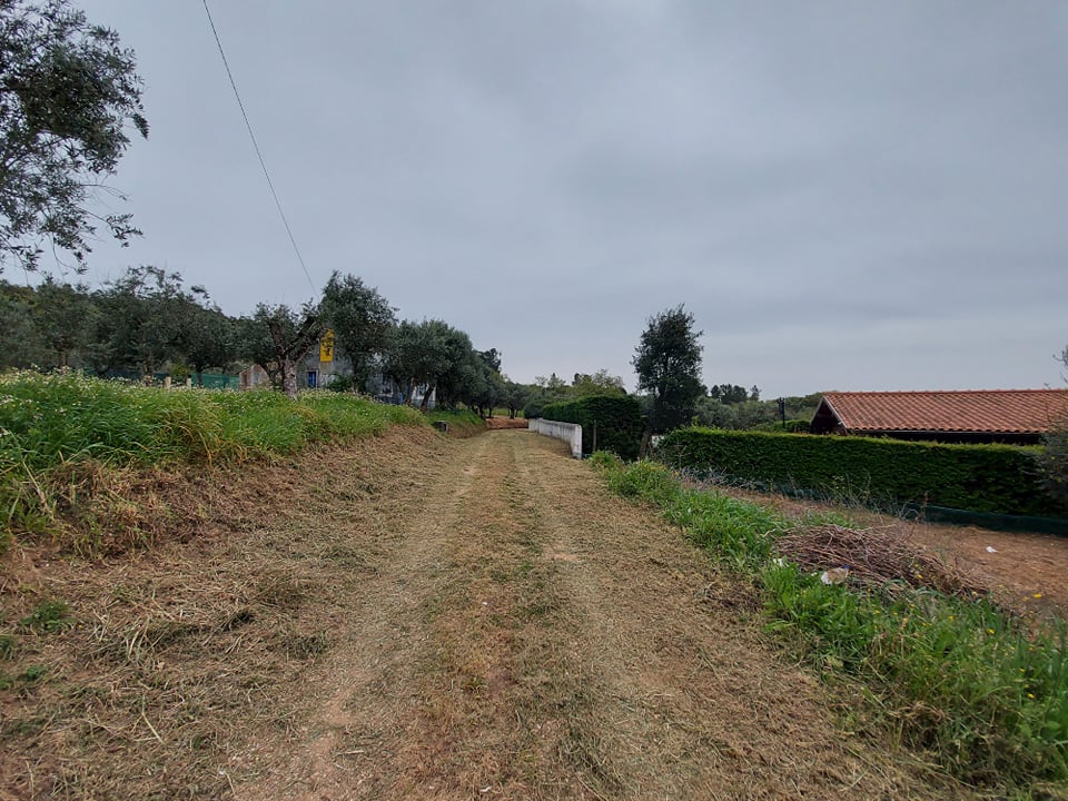 tfonterei 4